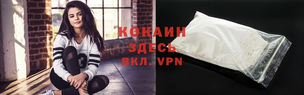индика Балабаново