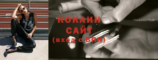 индика Балабаново