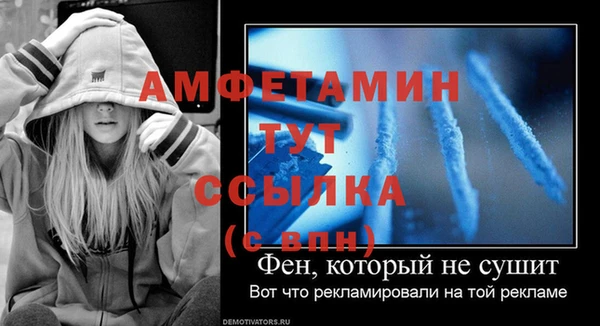 индика Балабаново